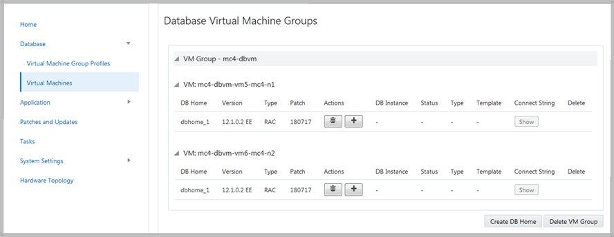 image:A screen shot showing the DB VM group summary page.