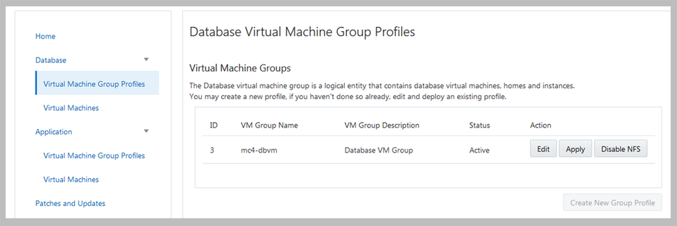image:A screen shot showing the DB VM group summary page.