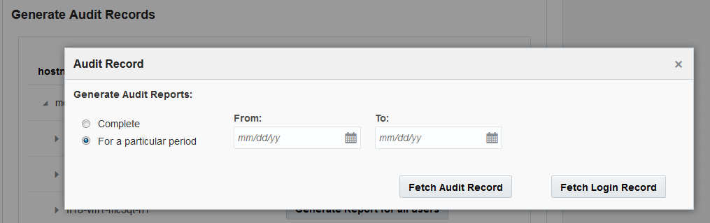 image:A screen shot showing the audit record dialog box.
