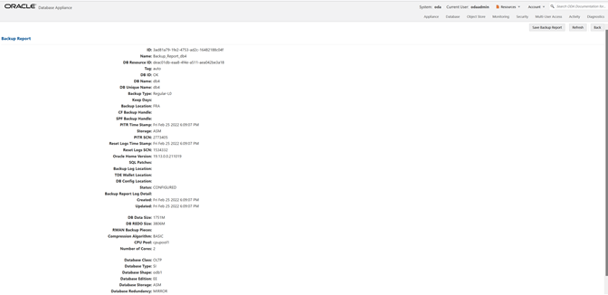 Backup Report page