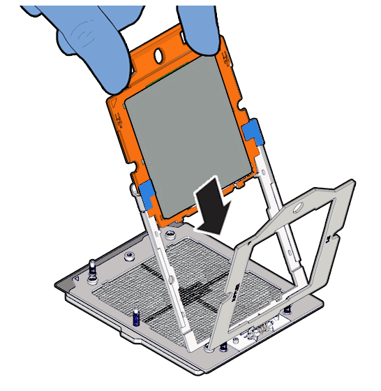 Description of aog-291_slide-proc-oda-x10.png follows Description of aog-291_slide-proc-oda-x10.png follows