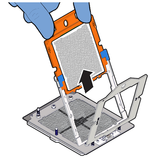 Description of aog-291_slide-proc-out1.png follows Description of aog-291_slide-proc-out1.png follows