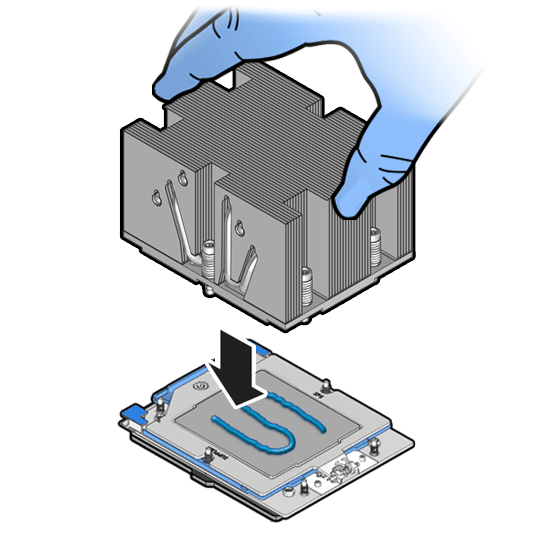 Description of aog-298_install-processor-oda-x11.png follows Description of aog-298_install-processor-oda-x11.png follows