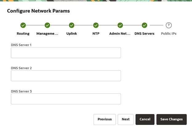 Figure showing the DNS parameters page for the initial appliance setup wizard.
