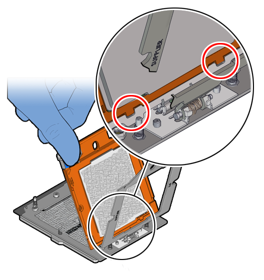 Figure showing two insertion tabs at the bottom of the processor carrier inserted into the slots in the Rail Frame.