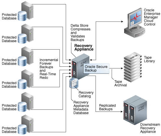 Description of Figure 1-1 follows