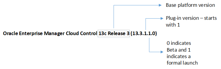 plug-in release number format
