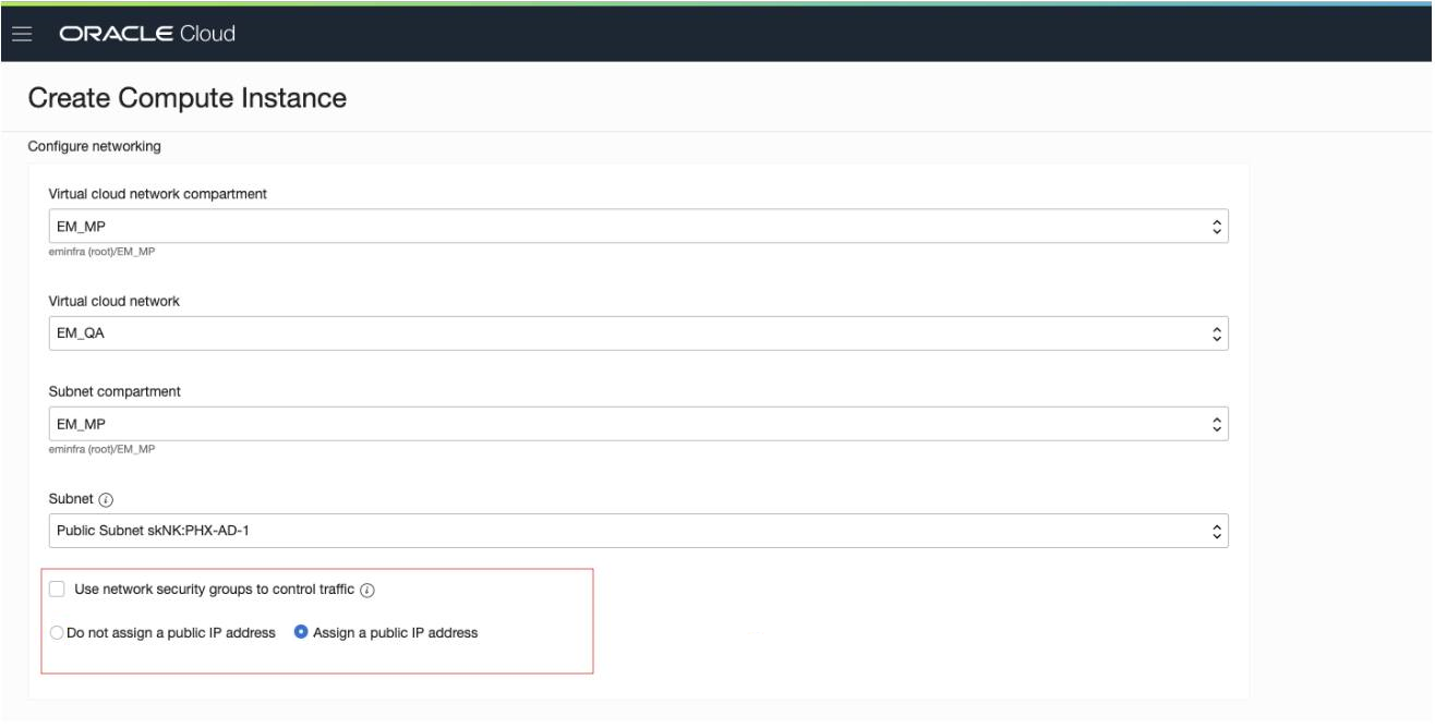 Assign IP to public VCN in OCI