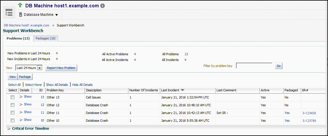 Support Workbench Page screen shot example