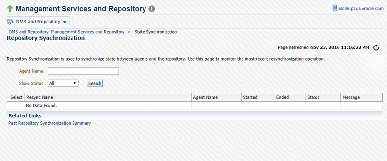 Repository Resynchronization page