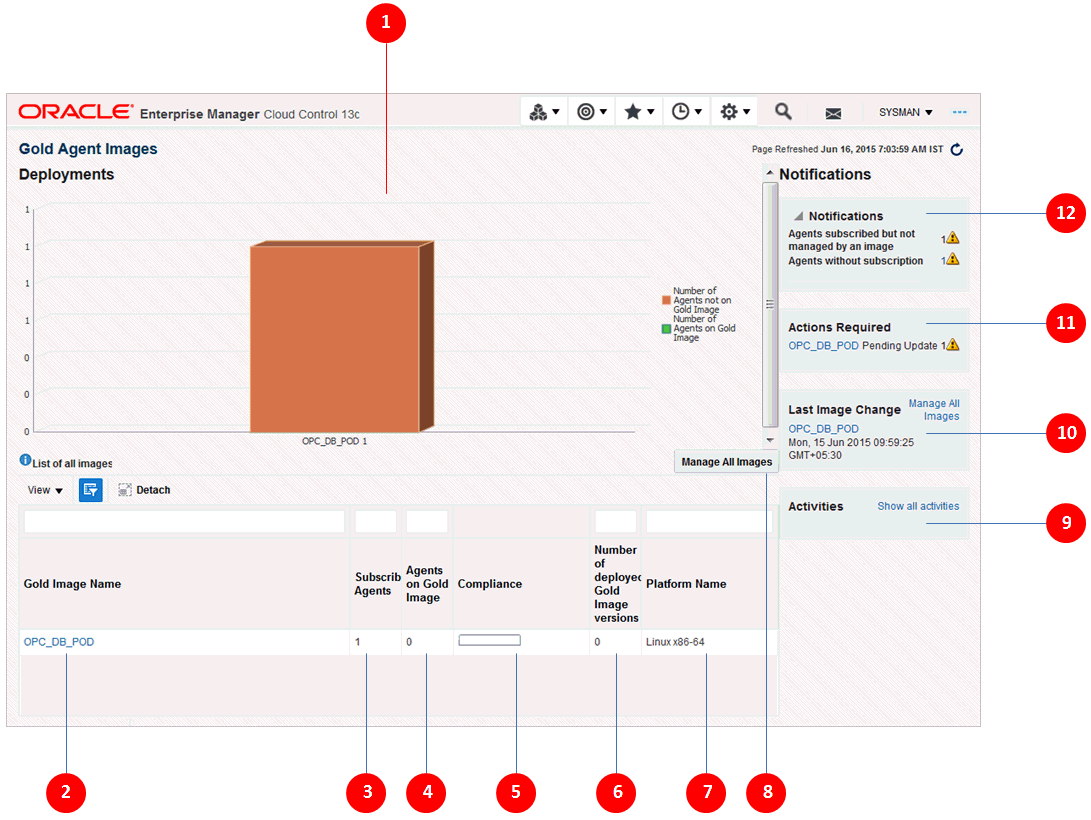 Gold Agent Image Console