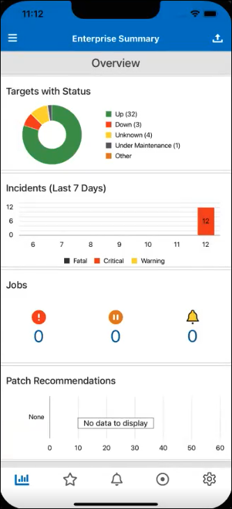 Graphic shows the Enterprise Summary dashboard.