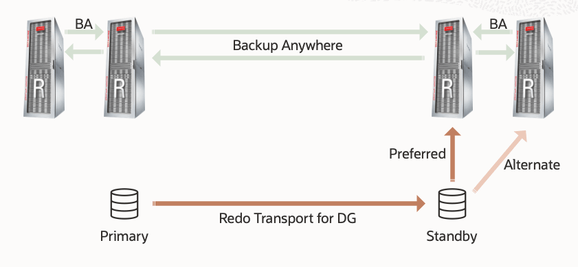 MAA Gold Backup Configuration with ZDLRA Backup Anywhere Replication and Backup and Redo Continuity - from standby