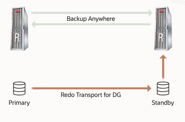 MAA Gold and ZDLRA Backup Anywhere Replication Configuration - from standby