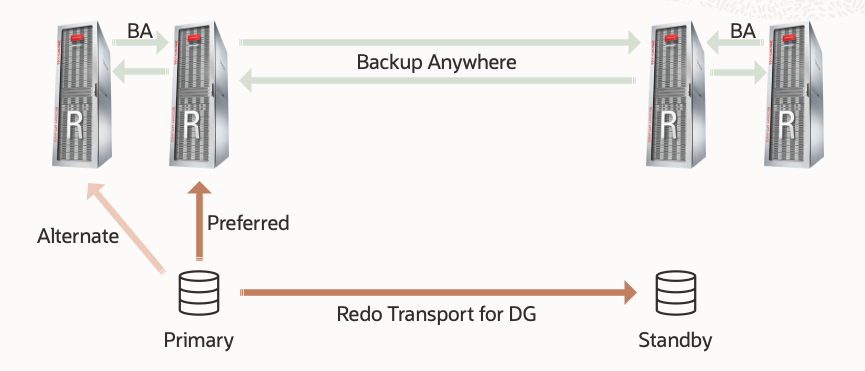 MAA Gold Backup Configuration with ZDLRA Backup Anywhere Replication and Backup and Redo Continuity - from primary MAA Gold Backup Configuration with ZDLRA Backup Anywhere Replication and Backup and Redo Continuity - from primary