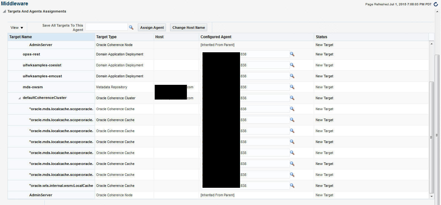 Targets and Agents Assignments