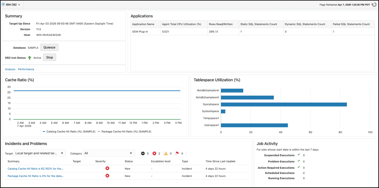 IBM DB2 Database Target Home Page
