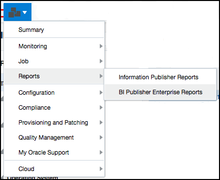 BI Publisher Enterprise Reports Menu Item