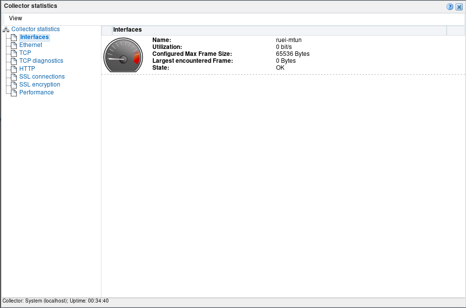Graphic shows the RUEI web UI.