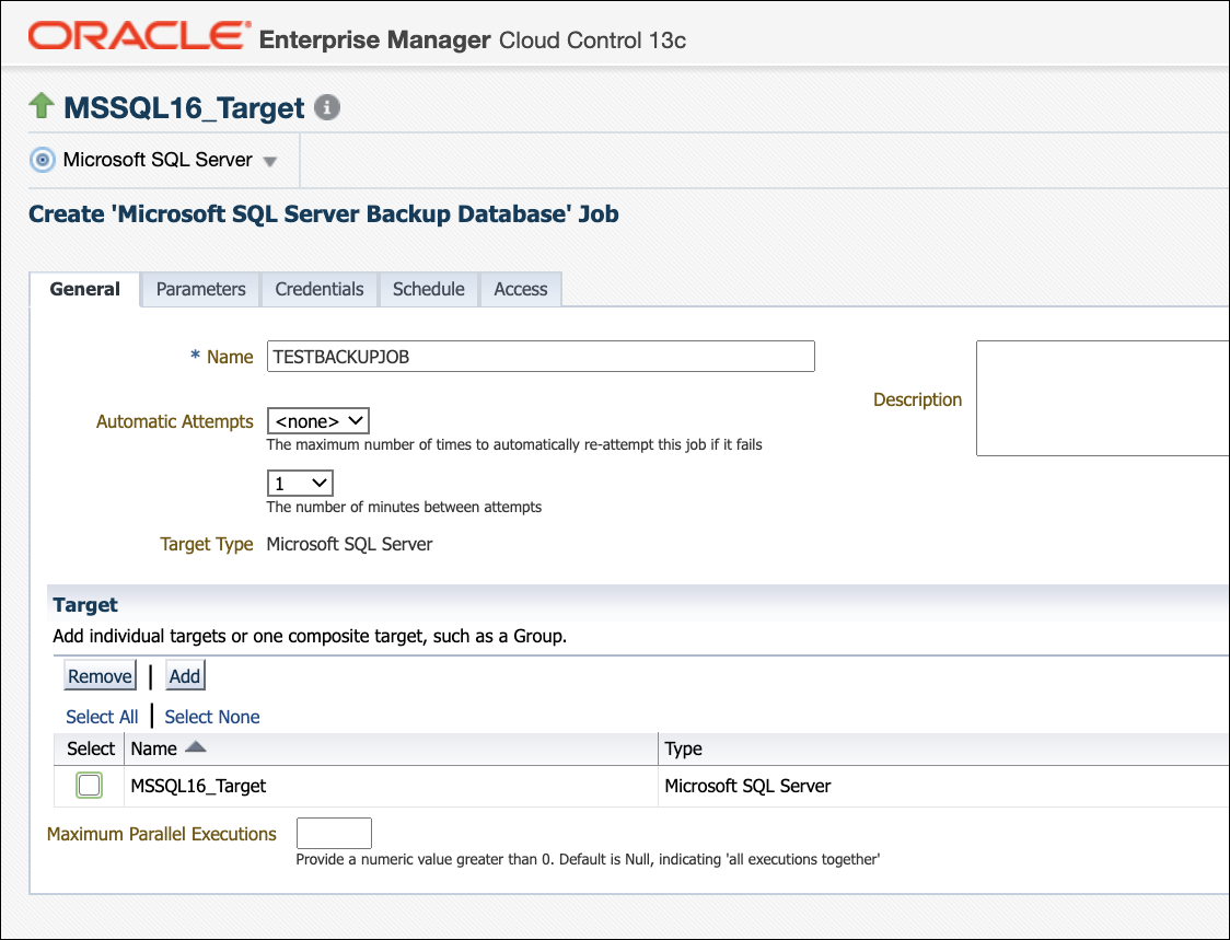 Microsoft SQL Server Job Name