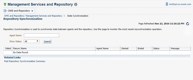 Repository Resynchronization page Repository Resynchronization page