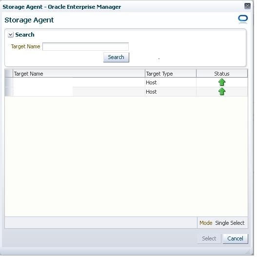 Storage Agent