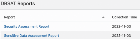 DBSAT Report Options