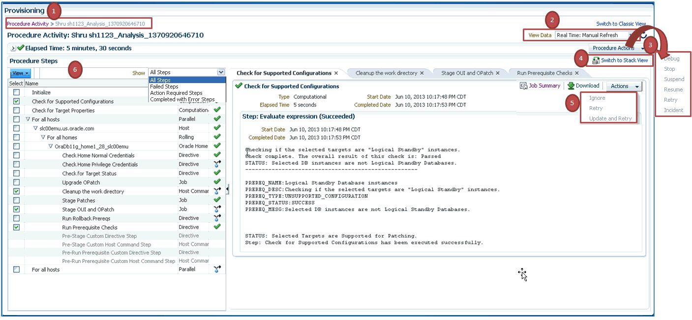 Procedure Execution Page Procedure Execution Page