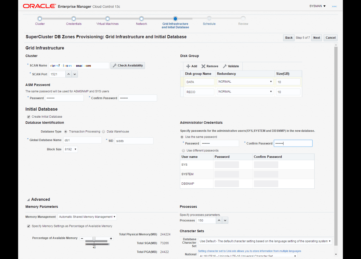 This image shows what the grid infrastructure definition as well as the advanced settings for your database.