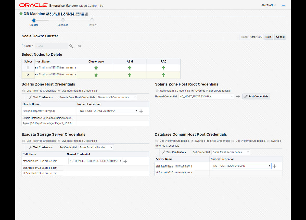 This image shows what the database domains root host credentials are.