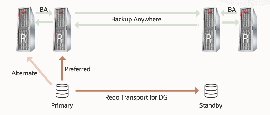 MAA Gold Backup Configuration with ZDLRA Backup Anywhere Replication and Backup and Redo Continuity - from primary MAA Gold Backup Configuration with ZDLRA Backup Anywhere Replication and Backup and Redo Continuity - from primary
