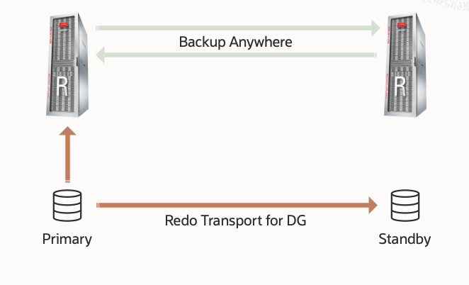 MAA Gold and ZDLRA Backup Anywhere Replication Configuration - from primary