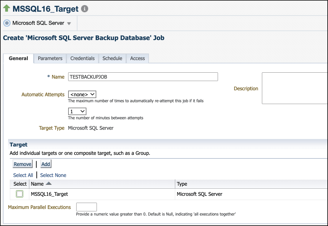 Microsoft SQL Server Job Name