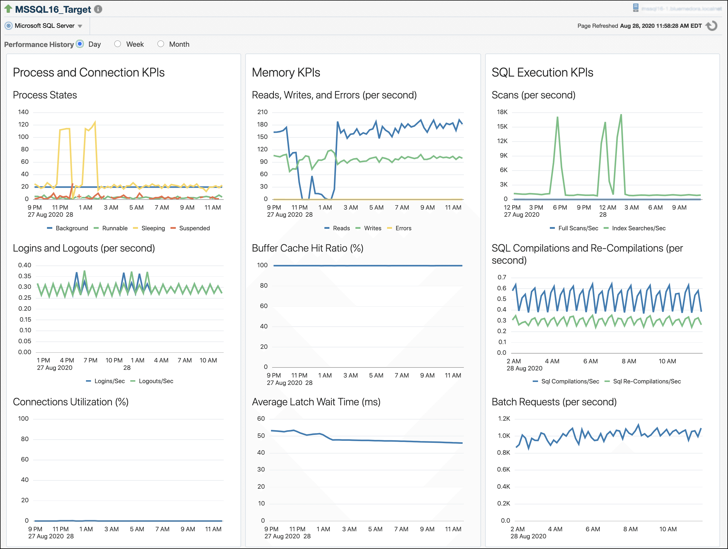 Microsoft SQL Server Performance Page