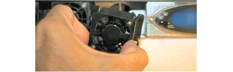Image showing Inserting the Fan into the Chassis Slot
