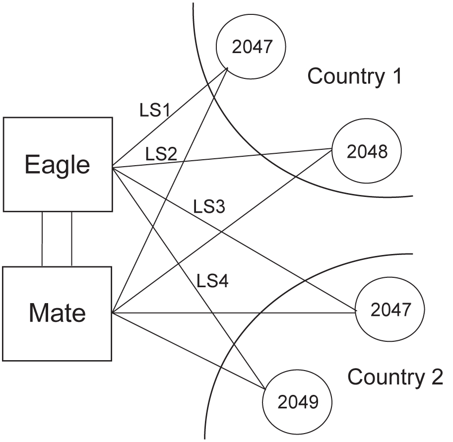 Network Example with DPC and Group Codes