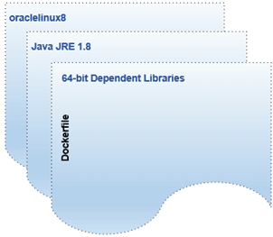Description of Figure 1-2 follows