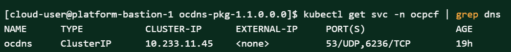 img/policy-dns-stub-cluster-ip.png