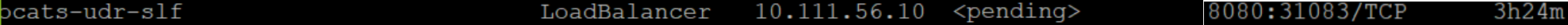 img/slf-nodeport.png