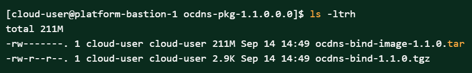 img/policy-deploying-dns.png