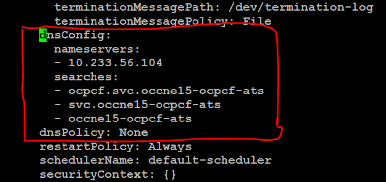 img/policy-dns-config.png