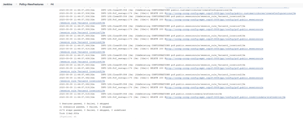 img/policy-test-result-output-console.png