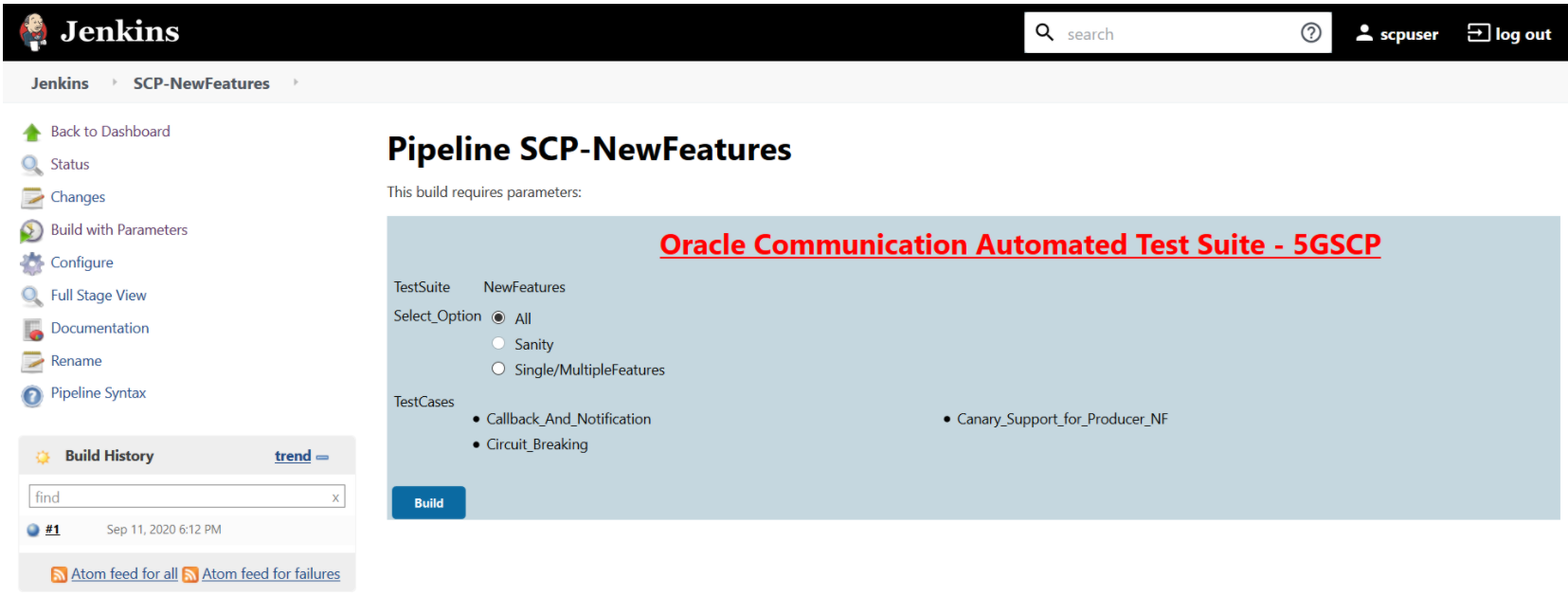img/scp-build-parameters-option.png