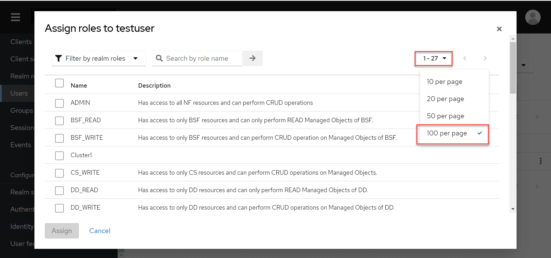 Display 100 Entries per Page