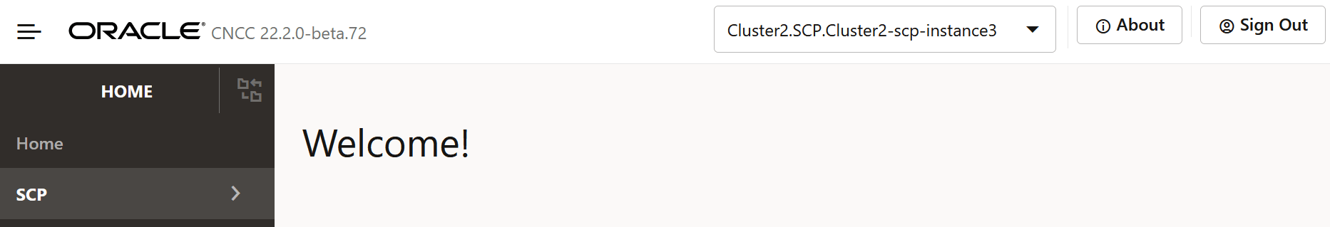 Select NF Instance