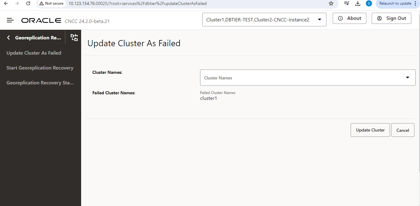 Update Cluster As Failed