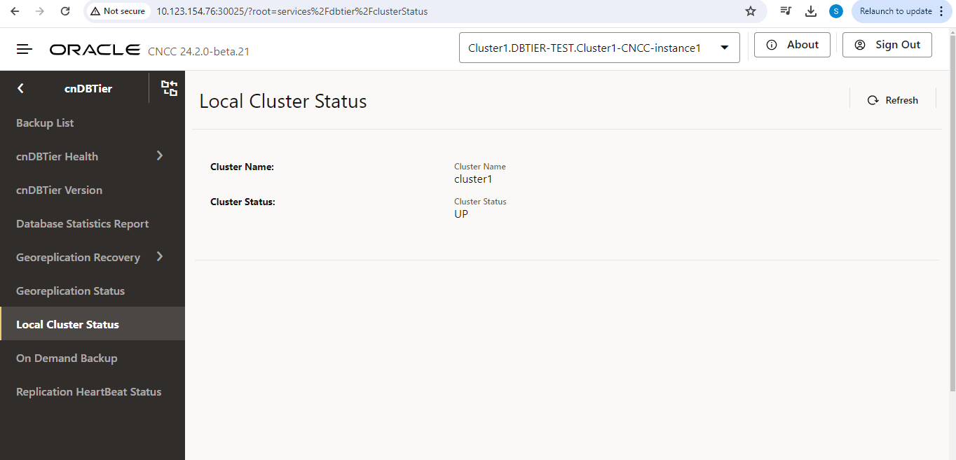 Verify Cluster Status