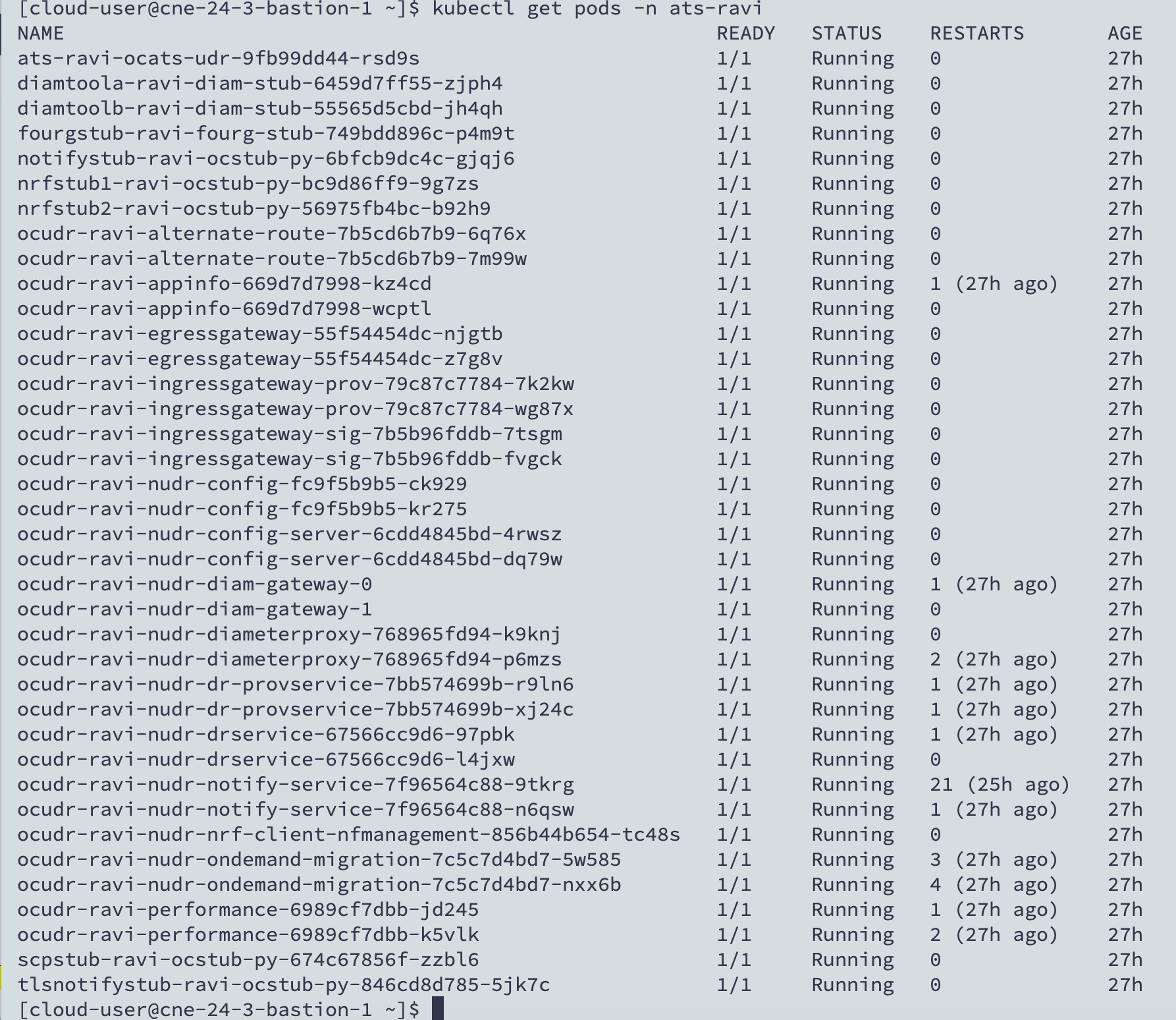 Sample UDR Namespace