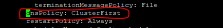 dnsConfig