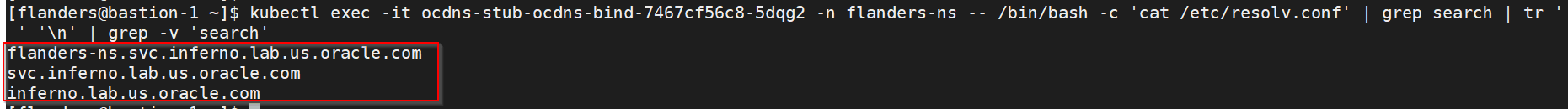 Editing Alternate Route Service deployment pointing towards DNS Stub